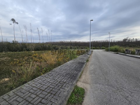 Terreno Urbanizável em Valongo do Vouga, Águeda