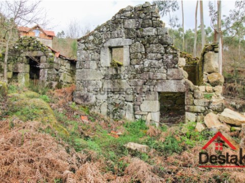 Quinta T3 em Santa Cruz da Trapa e São Cristóvão de Lafões, São Pedro do Sul