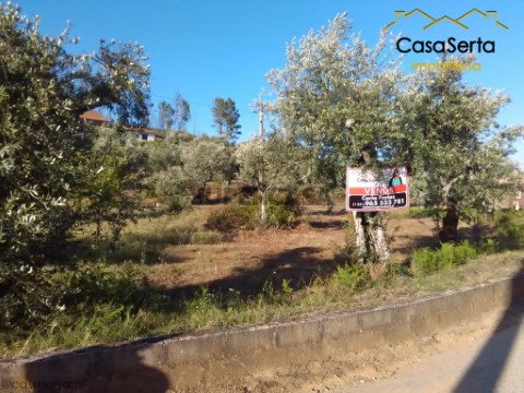 Terreno em Proença-a-Nova e Peral, Proença-a-Nova
