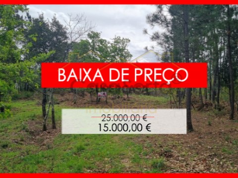 Terreno em Cernache do Bonjardim, Nesperal e Palhais, Sertã