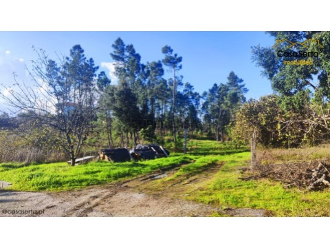 Grundstück auf Cernache do Bonjardim, Nesperal e Palhais, Sertã