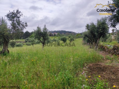 Terreno em Cernache do Bonjardim, Nesperal e Palhais, Sertã