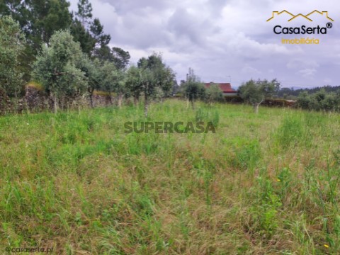 Terreno em Cernache do Bonjardim, Nesperal e Palhais, Sertã