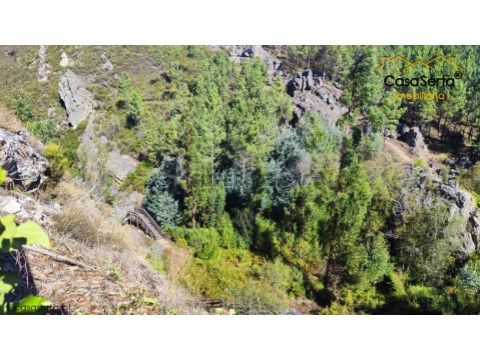 Terreno em Cernache do Bonjardim, Nesperal e Palhais, Sertã
