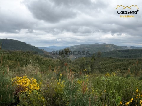 Terreno em Cernache do Bonjardim, Nesperal e Palhais, Sertã