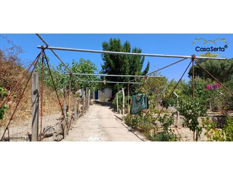 Quinta T0 em Salgueiro do Campo, Castelo Branco