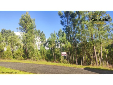 Terreno em Cernache do Bonjardim, Nesperal e Palhais, Sertã