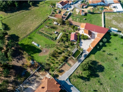 Vista Panorâmica