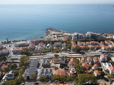 Vista Panorâmica