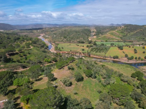 DJI_0599