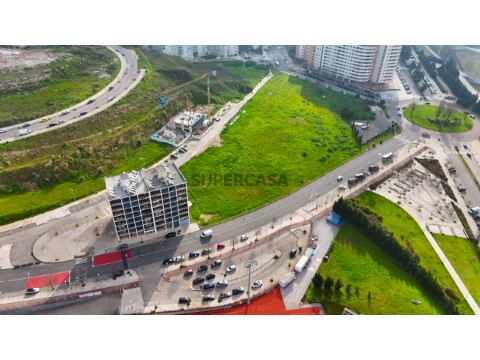 DJI_20260224093816_0056_D