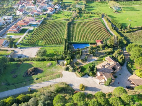 DJI_0359