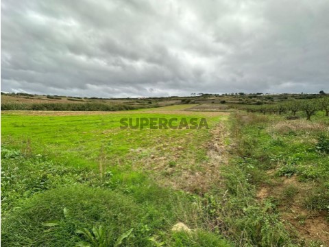 terreno-sobral-da-lagoa-el2025506