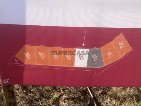 lotes-completo