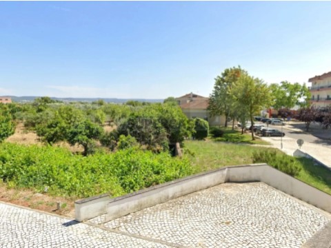 Terreno em Vila Nova da Barquinha, Vila Nova da Barquinha