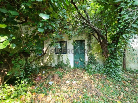 Terreno em Torres Novas (Santa Maria, Salvador e Santiago), Torres Novas