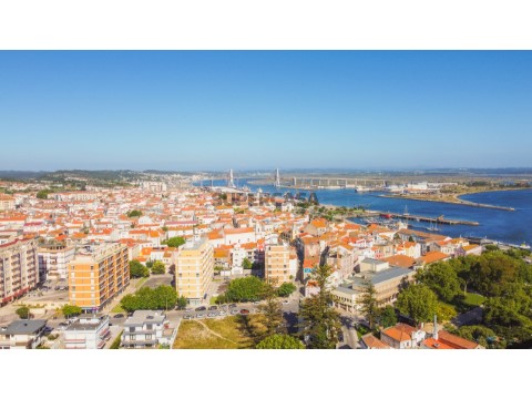 DJI_0224