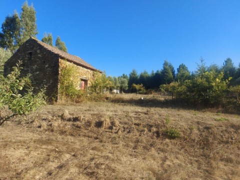 Terrein Op Arganil, Arganil