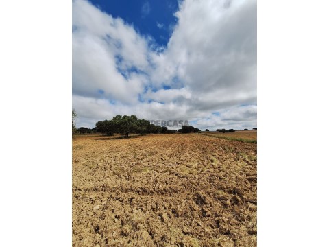 Terreno em Paranhos, Porto