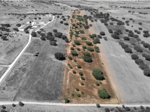 Quinta T3 em Monsaraz, Reguengos de Monsaraz