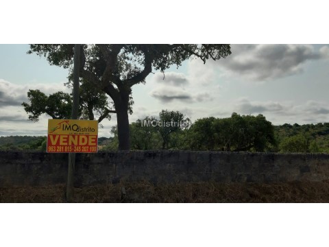 Terreno em Espírito Santo, Nossa Senhora da Graça e São Simão, Nisa