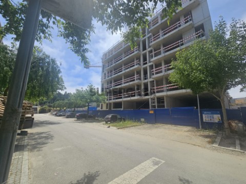Lote 8