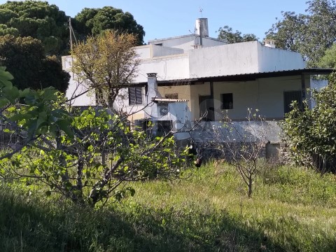 Moradia T3 em Santa Bárbara de Nexe, Faro