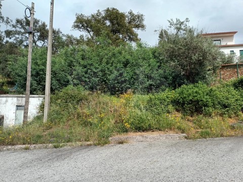 Terreno em Salgueiro do Campo, Castelo Branco