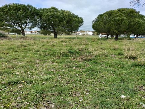 IMG20240229122337 (Copy)