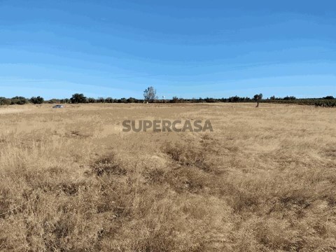 IMG20240908090715 (Copy)