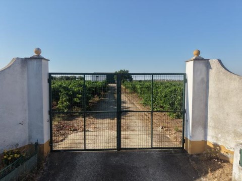 IMG-20260630-WA0005