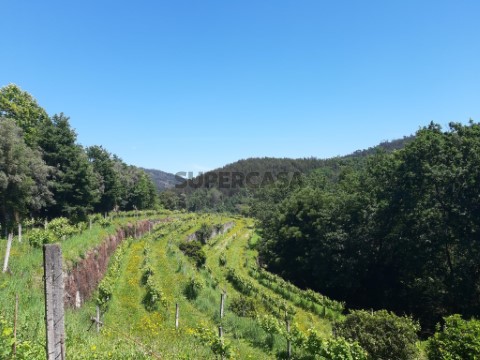 Terreno em Bouro (Santa Maria), Amares