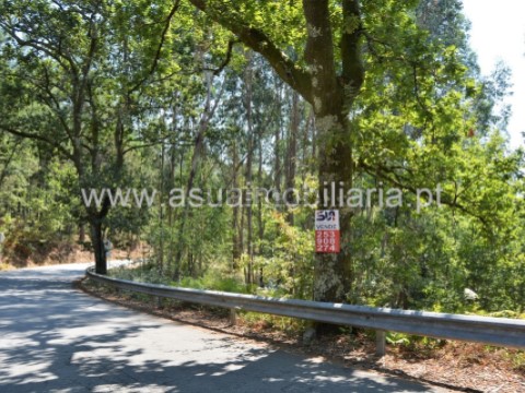 Terreno em Fiscal, Amares