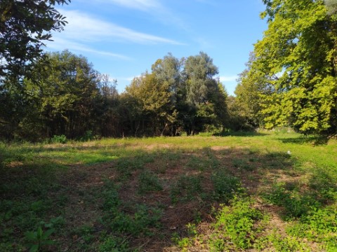 Terreno em Fiscal, Amares