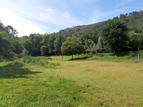 Terreno em Valdosende, Terras de Bouro