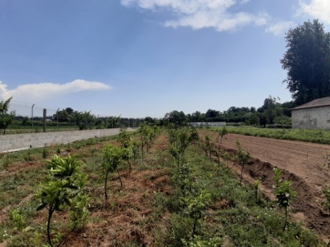 Terreno em Rendufe, Amares
