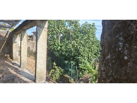 Quinta T0 em Fiscal, Amares