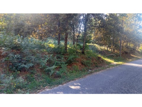 Terreno em Fiscal, Amares