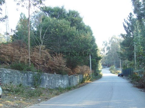 IMGP0009