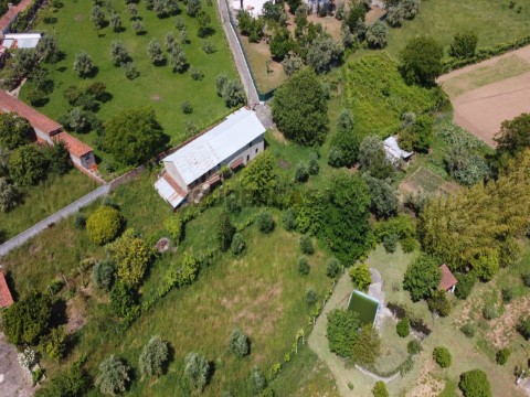 rustikales Haus auf Figueiró dos Vinhos e Bairradas, Figueiró dos Vinhos