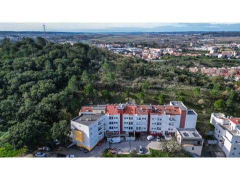 20231212_DJI_3