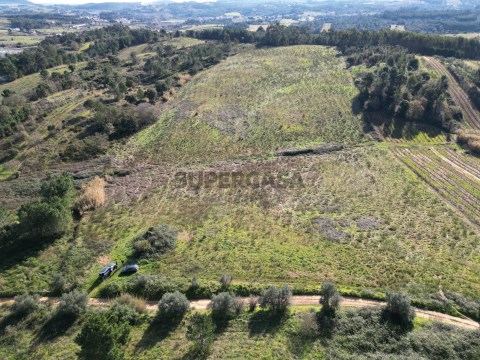dji_fly_20250204_190518_689_1738667229128_photo