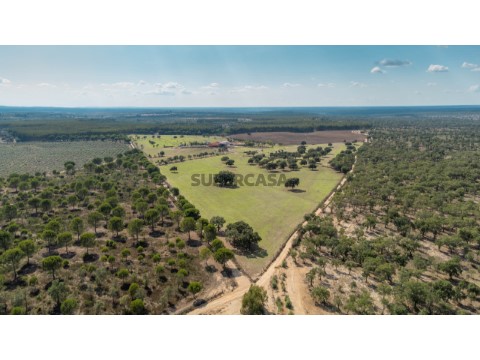 Quinta de 36 hectares para venda em Ponte de Sôr