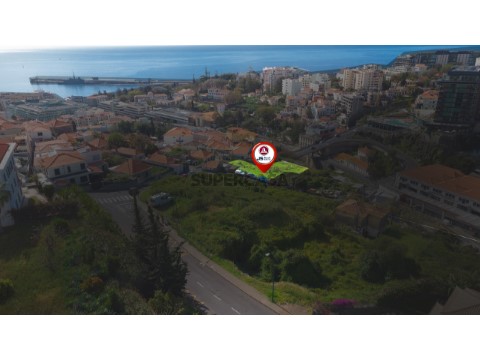 Vista Drone