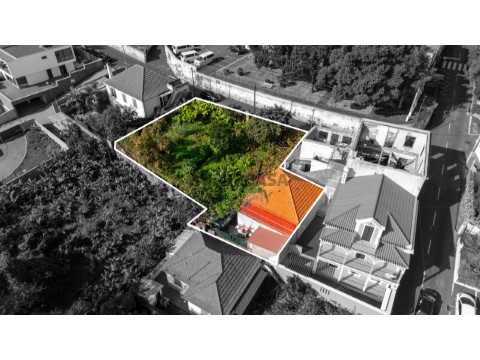 Vista Drone