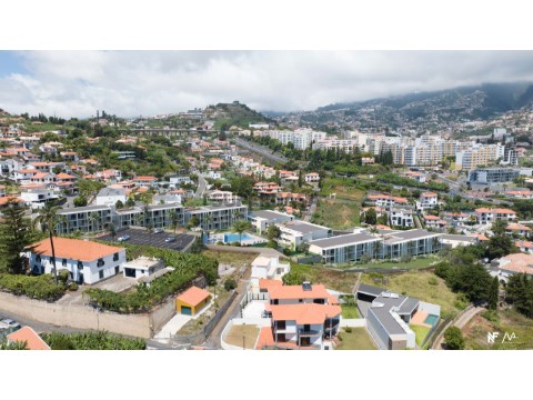 The Hills 014
