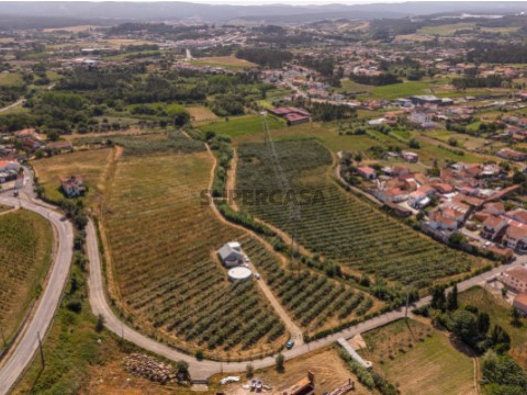 Vista aérea