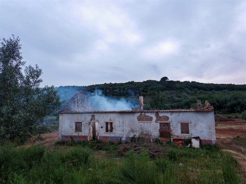 Quintinha T3 em Torres Novas (São Pedro), Lapas e Ribeira Branca, Torres Novas