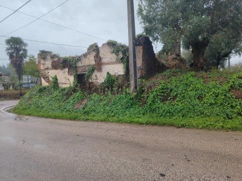 Huis 3 kamers Op Olalhas, Tomar