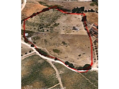 Terreno Urbano em Gâmbia-Pontes-Alto Guerra, Setúbal